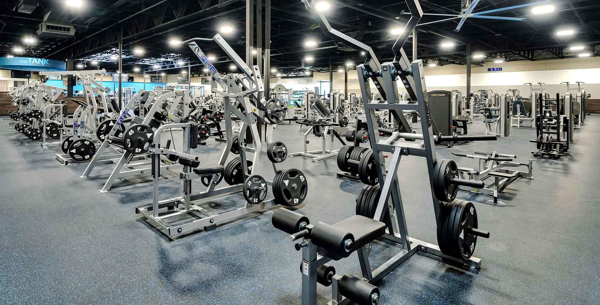 a wide shot of the inside of a eos branded gym showing many machines