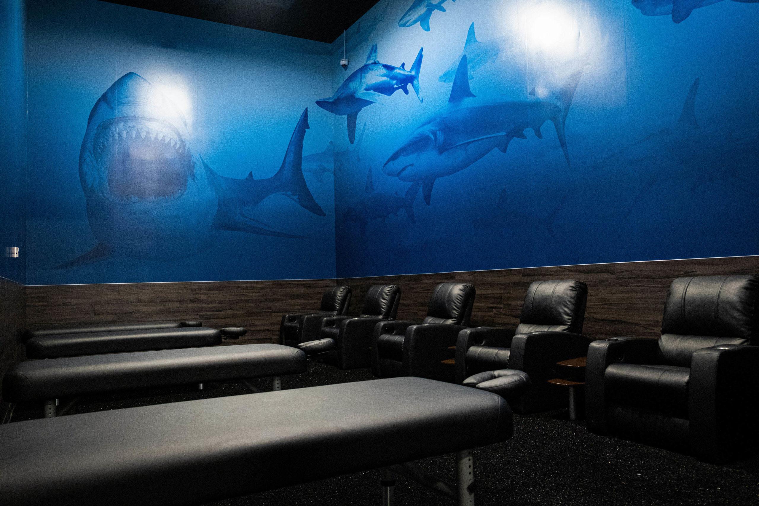 modern stretching tables in a shark and blue themed studio