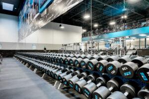 Free weights at Spring