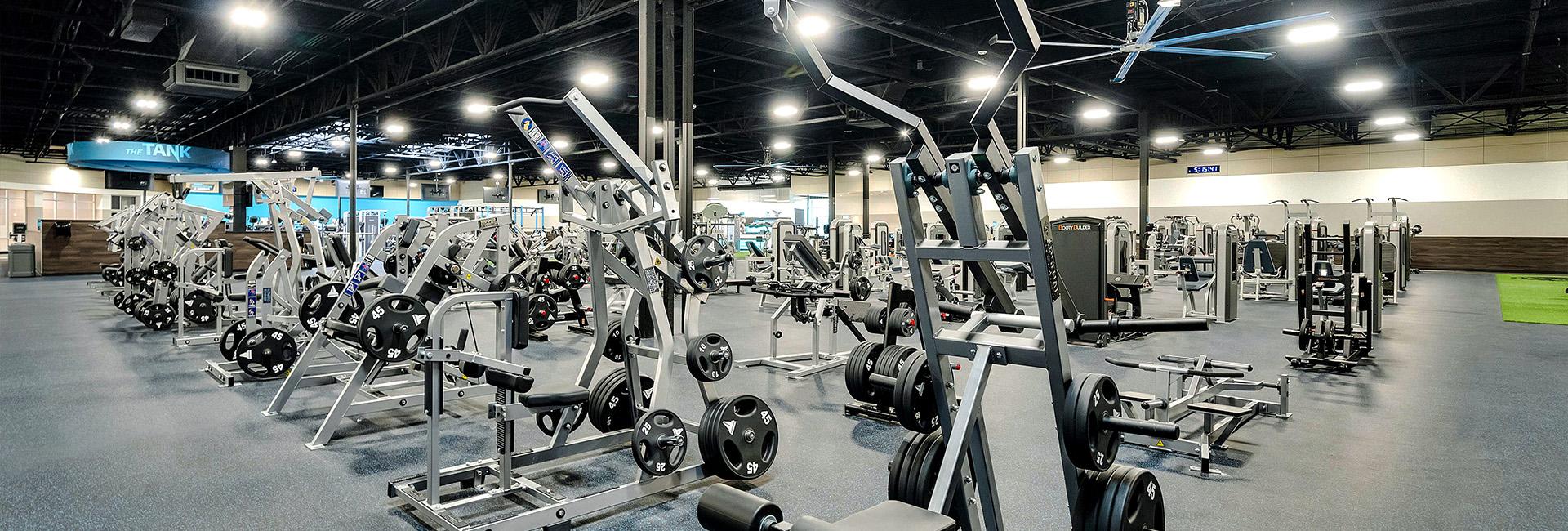 a wide shot of the inside of a eos branded gym showing many machines