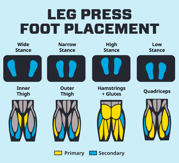 graphic with different leg press variations