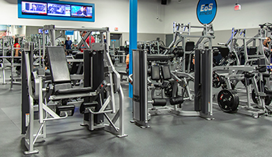 EoS Fitness Resistance Machines